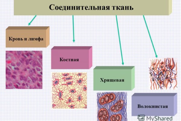 Ссылки на кракен зеркала